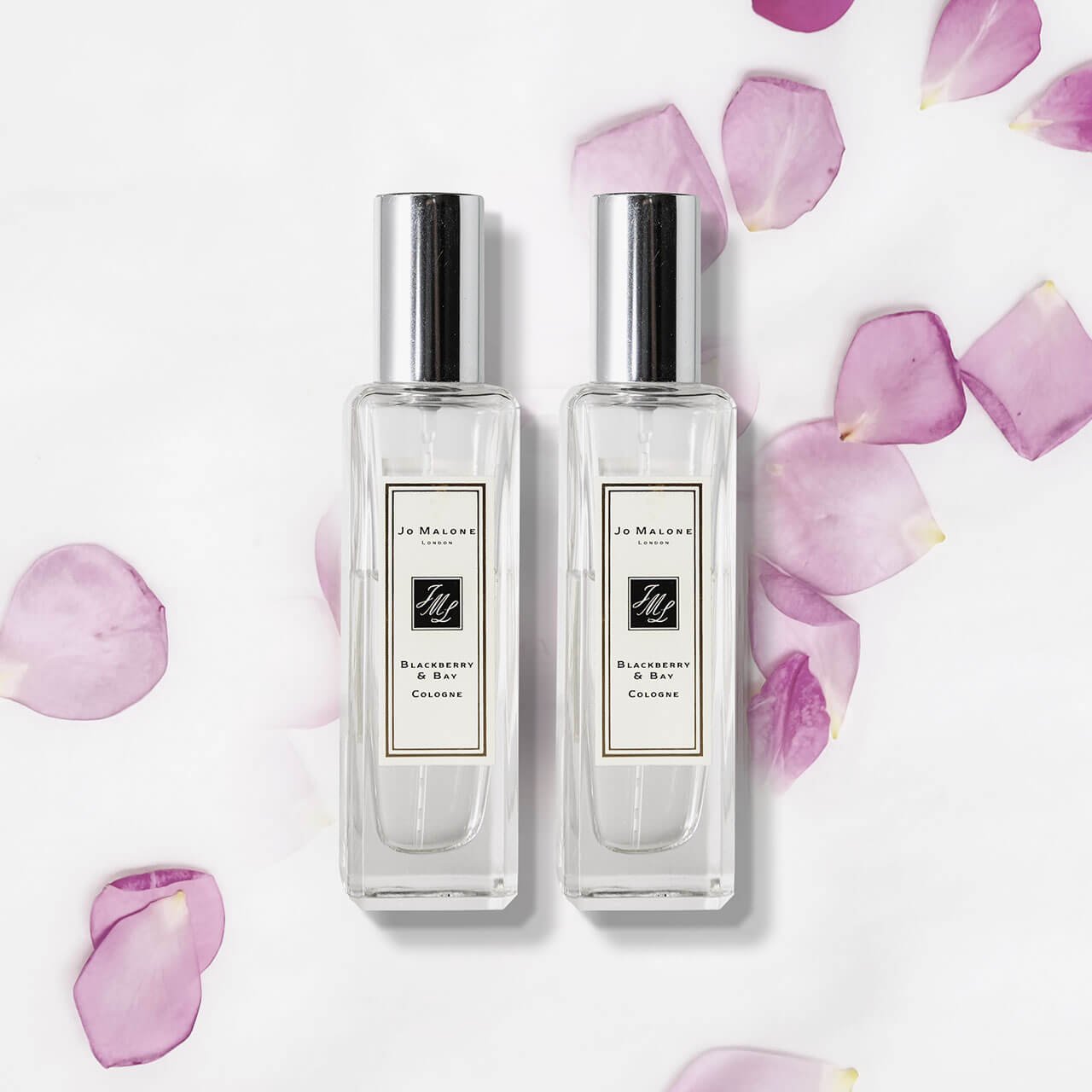 Sweet Translucence - Image 3